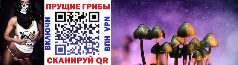 МЕГА зеркало  Черемхово  Псилоцибиновые грибы MAGIC MUSHROOMS  где найти  