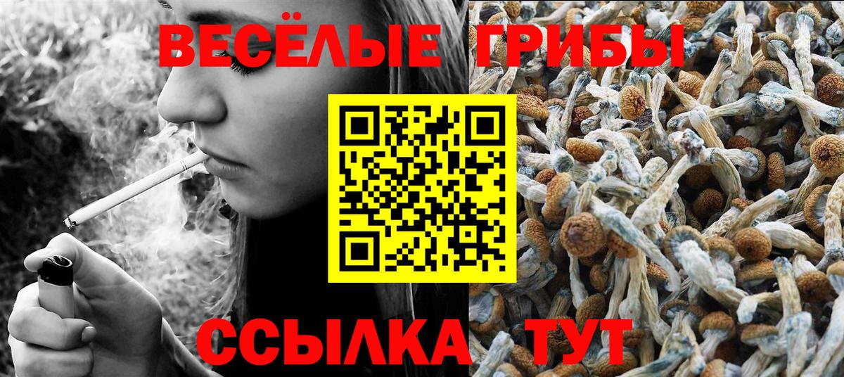 Черемхово  хочу наркоту  Вход с VPN  Псилоцибиновые грибы Cubensis 